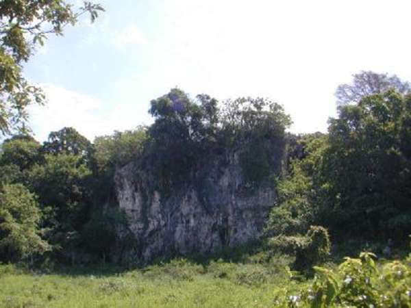 Do You Want A View? This Property Overlooks The