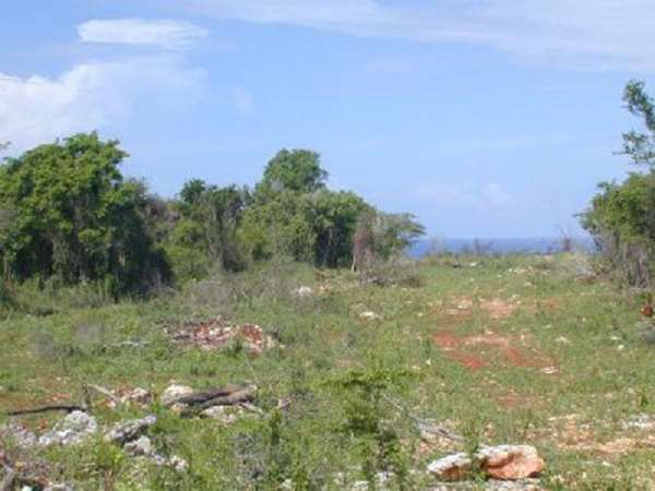 Do You Want A View? This Property Overlooks The