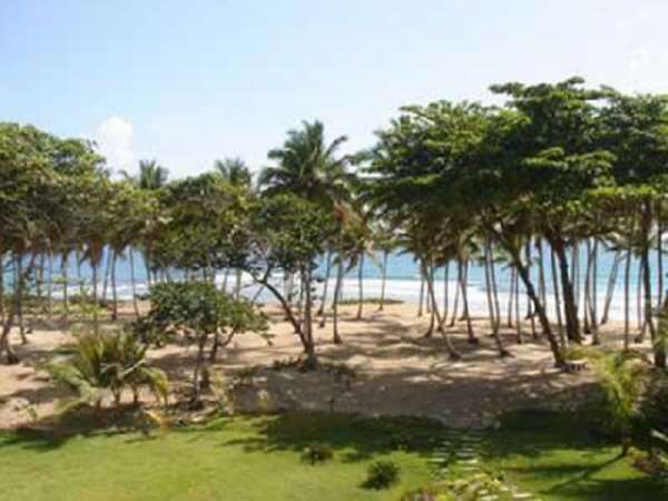 2 Bedroom Ocean Front Condo In A Well Administered