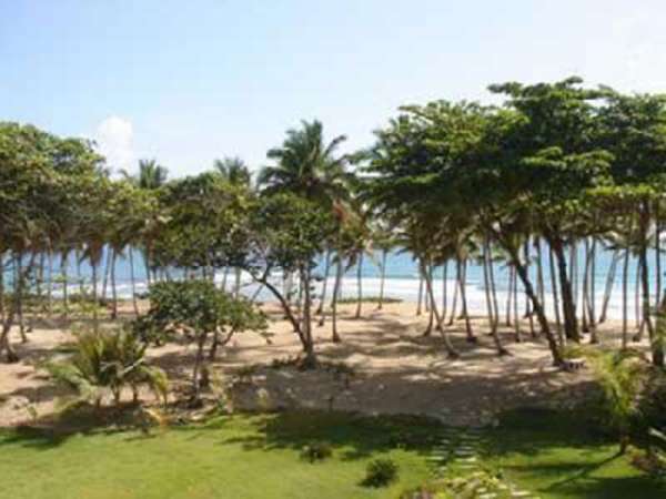 2 Bedroom Ocean Front Condo In A Well Administered